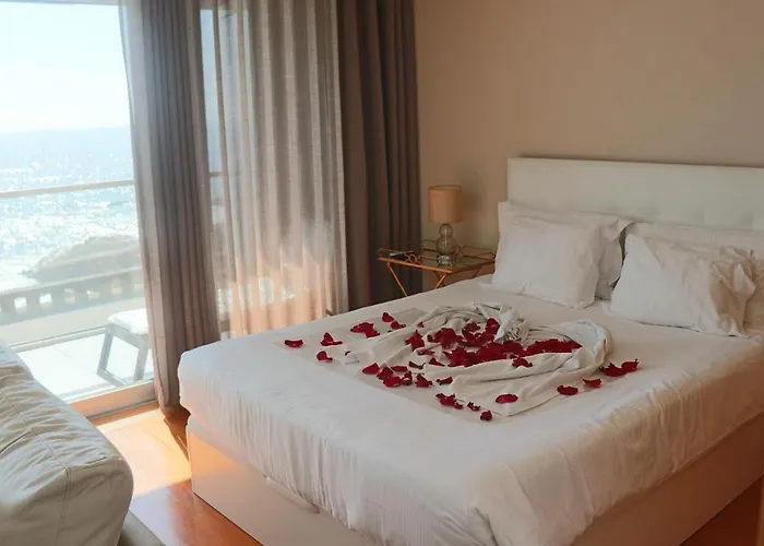 Bartolomeu 波尔图